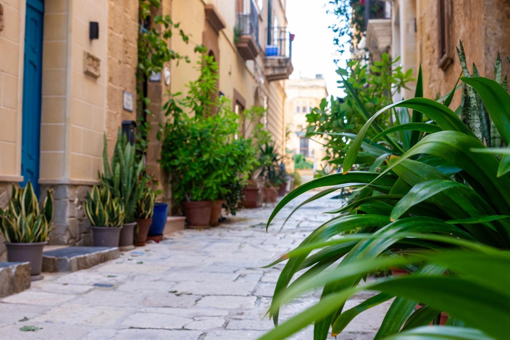 Great Siege Apartment Senglea Kültér fotó